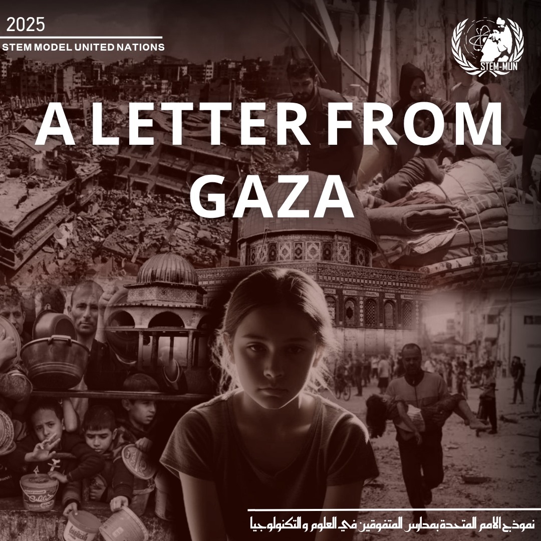 Gaza Crisis Analysis
